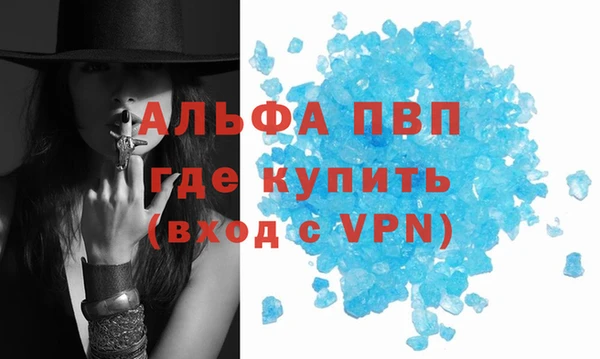 apvp Магас