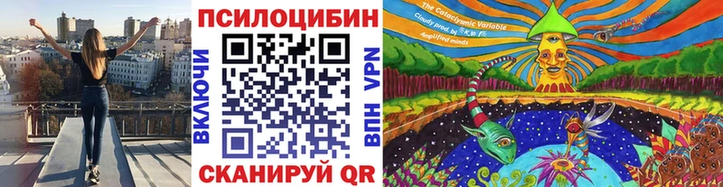 Галлюциногенные грибы ЛСД Мариинск